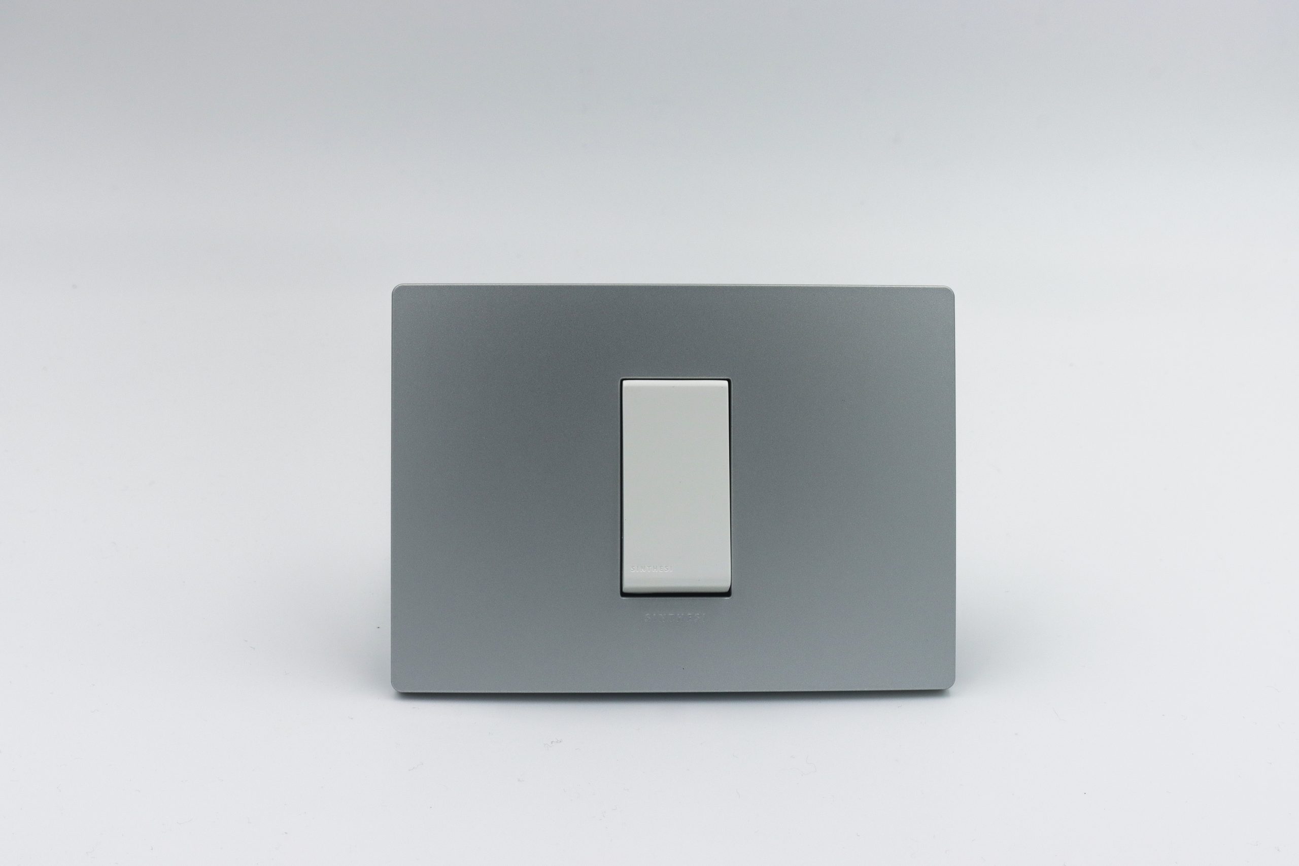 INTERRUPTOR SIMPLE S33 PLACA PLATA Y DADOS S22 BLANCOS SINTHESI